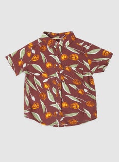 Baby Boys Round Neck Short Sleeve Shirt Multicolour