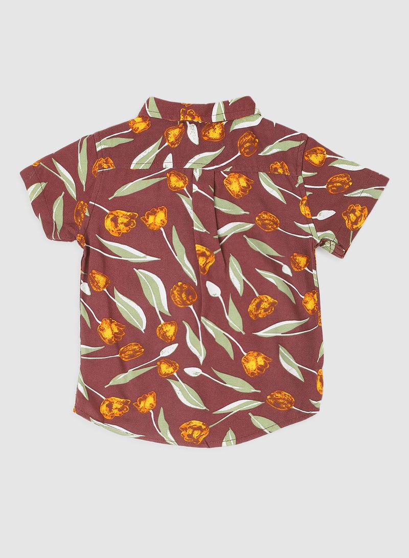 Zarafa - Baby Boys Round Neck Short Sleeve Shirt Multicolour - Image 1