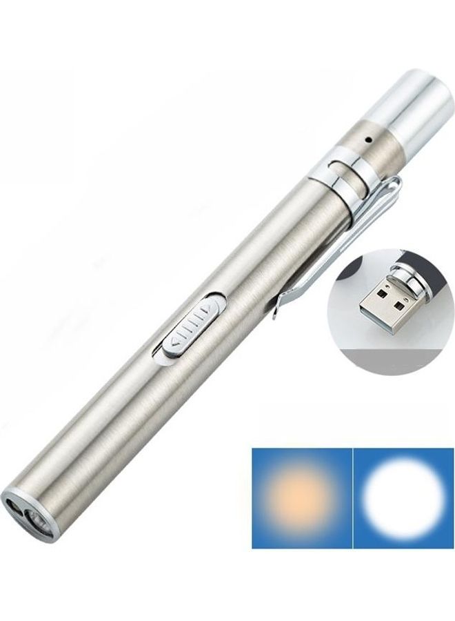 BGM LED Stainless Steel Pupil Pen Flashlight - Image 1
