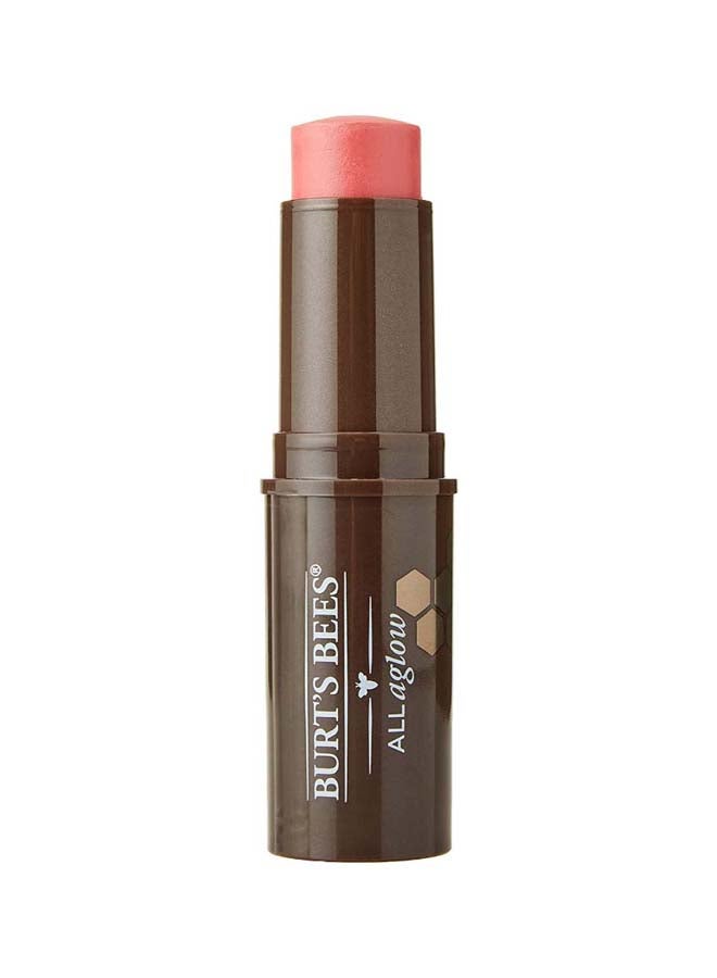 بيرتس بيز All Aglow Lip & Cheek Stick Blush Bay - Image 1