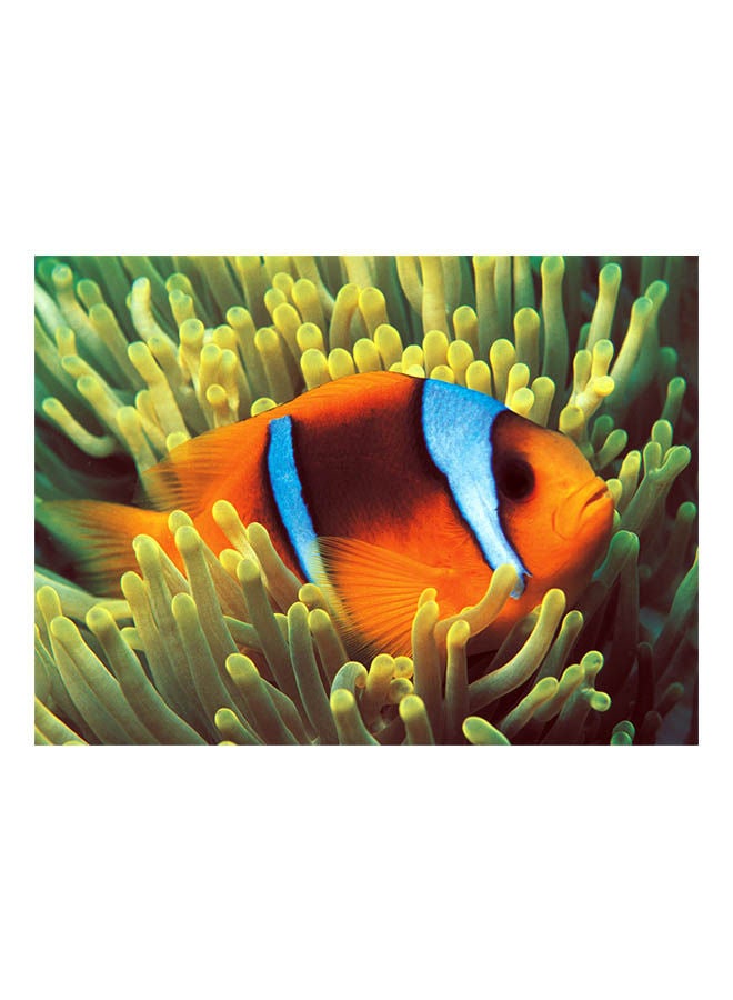 توماكس أحجية قطع تركيب بتصميم سمكة المهرج مكونة من 500 قطعة (تضيء في الظلام) 38x52سم - Image 1