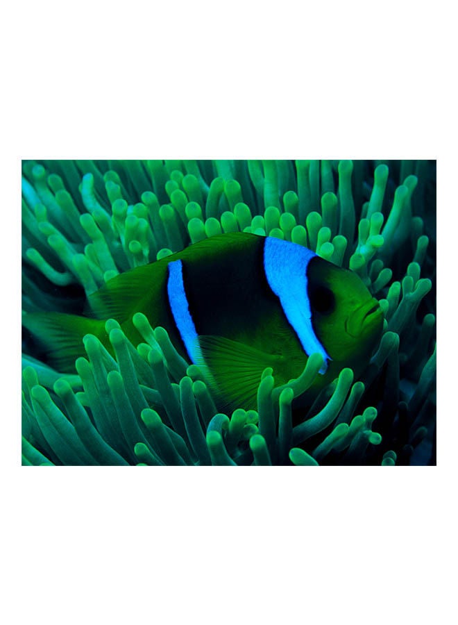 توماكس أحجية قطع تركيب بتصميم سمكة المهرج مكونة من 500 قطعة (تضيء في الظلام) 38x52سم - Image 2