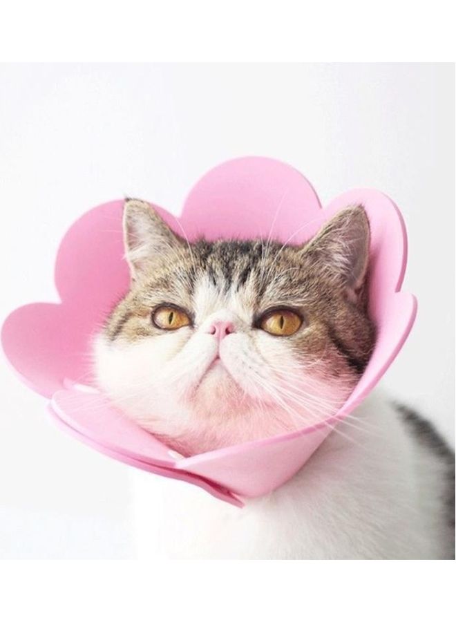 بي جي إم 3-Piece EVA Sponge Lick-Proof Sterilization Pet Collar Set, Size: S Orange 15-21cm - Image 5