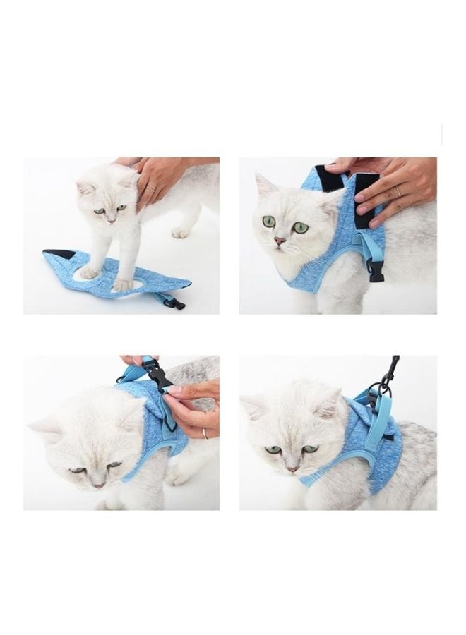 بي جي إم Cat Pet Chest Harness Leash, Size: L Sky Blue - Image 3