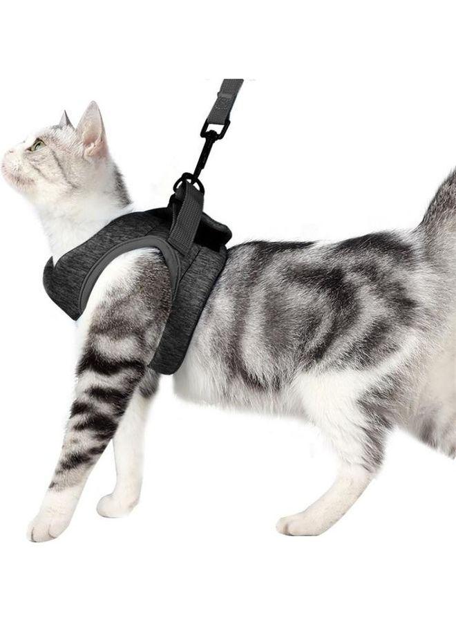 BGM Cat Pet Chest Harness Leash Black 67grams - Image 1