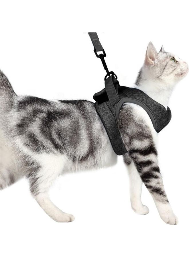 BGM Cat Pet Chest Harness Leash Black 67grams - Image 2
