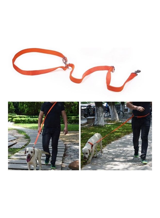 بي جي إم Outdoor Multifunction Double-End Nylon Pet Running Traction Rope S Black - Image 4