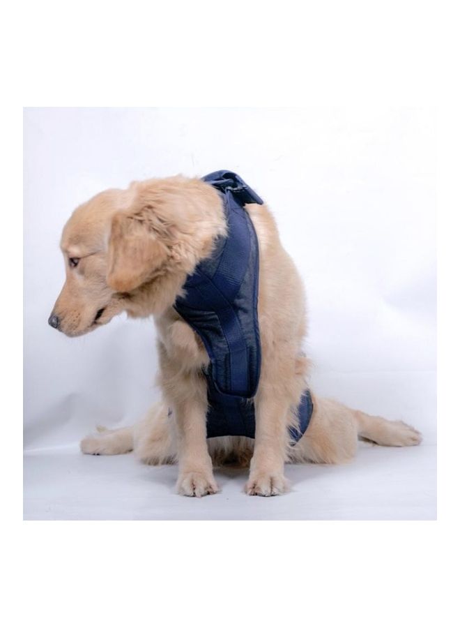 بي جي إم Pet Senior Dogs Chest Harness And Leash Dark Blue XS - Image 4