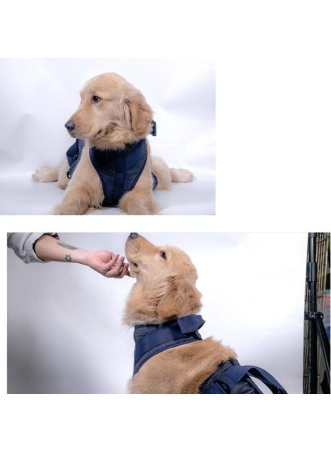 بي جي إم Pet Senior Dogs Chest Harness And Leash Dark Blue XS - Image 5