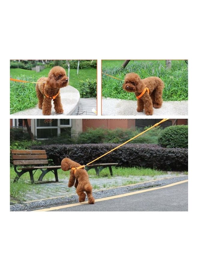 بي جي إم Double Sided LED Light Nylon Pet Cat Dog Chest Strap Harness Size S Orange/Black - Image 5