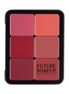 12-Colour Contour/Blusher Powder Palette FU106 - v1632031119/N50946867A_4