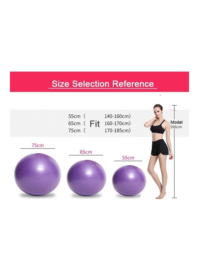 Environmental Pregnant Thickening Explosion-Proof Big Yoga Fitness Ball 65cm - v1632119598/N50957327A_4