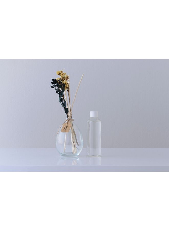 Pan Home Black Forest Reed Diffuser Multicolour 100ml - Image 2