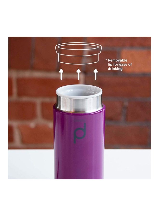 GRUNWERG Stainless Steel Vacuum Insulated  Flask Purple 300ml - Image 4