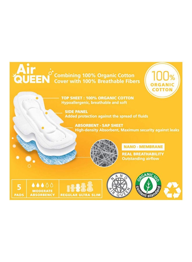 Air QUEEN Nano Sanitary Pads With Wings, (Regular 4 Pack/20 Total) White 200grams  - Image 2