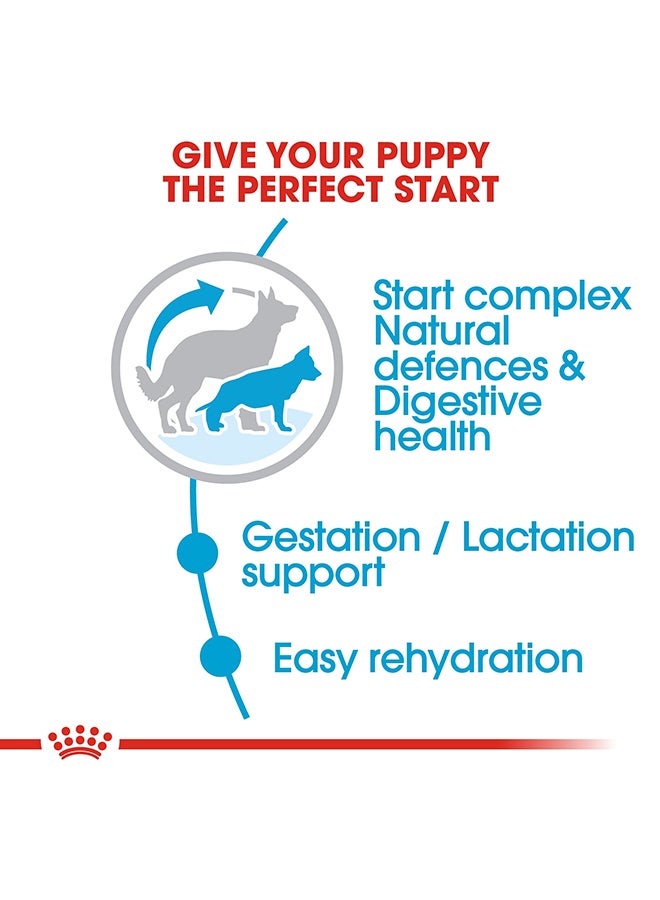 ROYAL CANIN Health Nutrition Maxi Starter Mother And Babydog Food 4kg  - Image 4