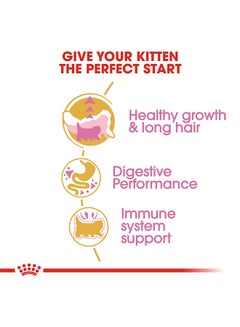 ROYAL CANIN Feline Breed Nutrition Persian Kitten 2kg  - Image 4