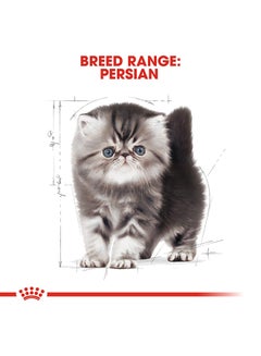 ROYAL CANIN Feline Breed Nutrition Persian Kitten 2kg  - Image 5