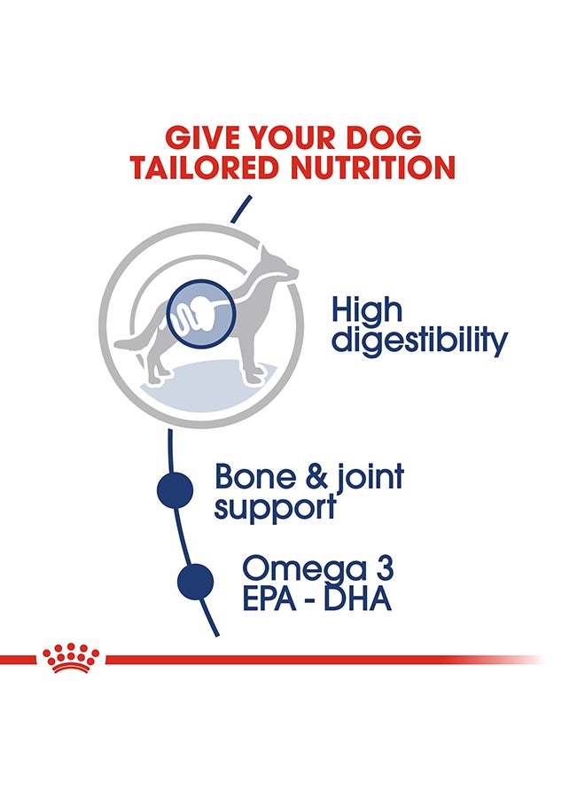 ROYAL CANIN Health Nutrition Maxi Adult Wet Food Pouches 140g Pack Of 10  - Image 4