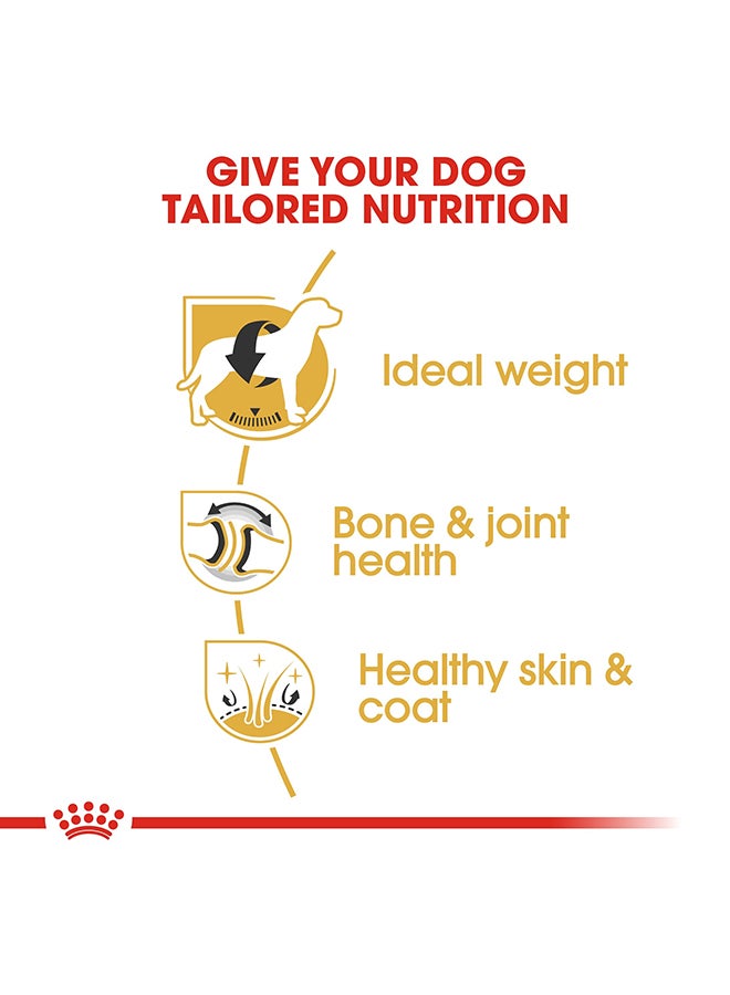 Breed Health Nutrition Labrador Adult Multicolour 12kg