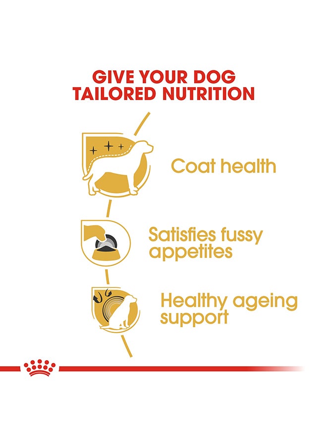 ROYAL CANIN Breed Health Nutrition Yorkshire Adult Multicolour 1.5kg - Image 4