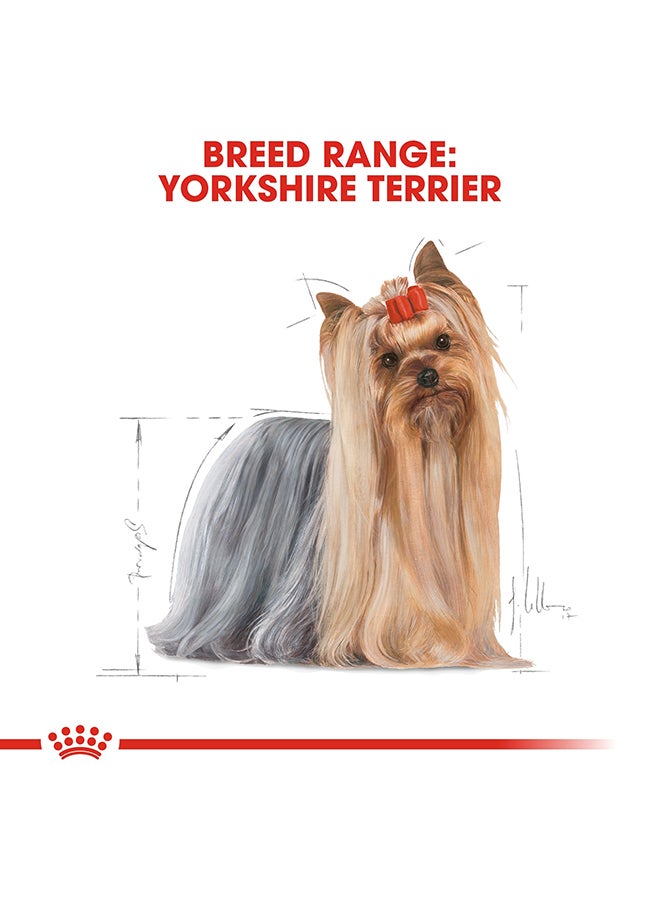 ROYAL CANIN Breed Health Nutrition Yorkshire Adult Multicolour 1.5kg - Image 5