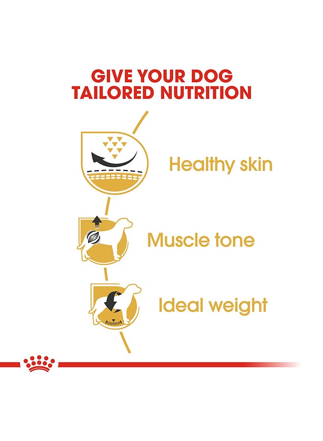 ROYAL CANIN Breed Health Nutrition Pug Adult 1.5kg  - Image 4