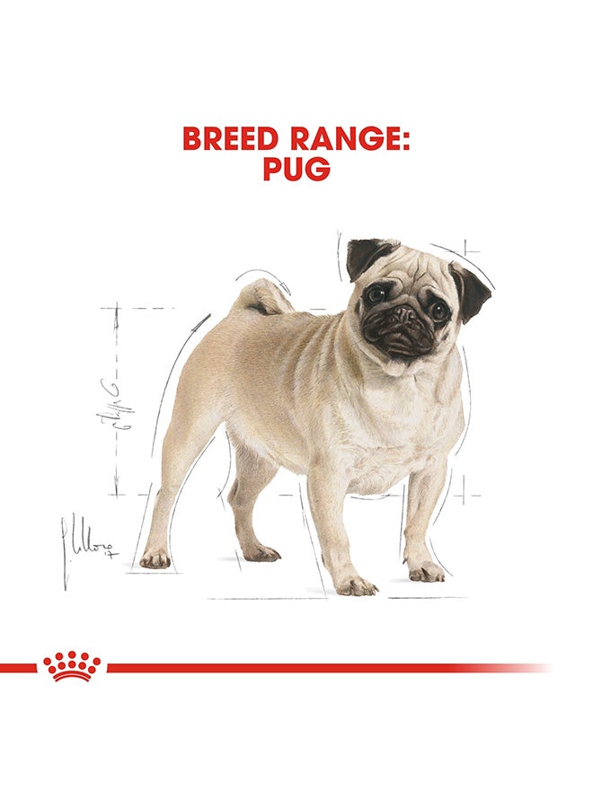 ROYAL CANIN Breed Health Nutrition Pug Adult 1.5kg  - Image 5