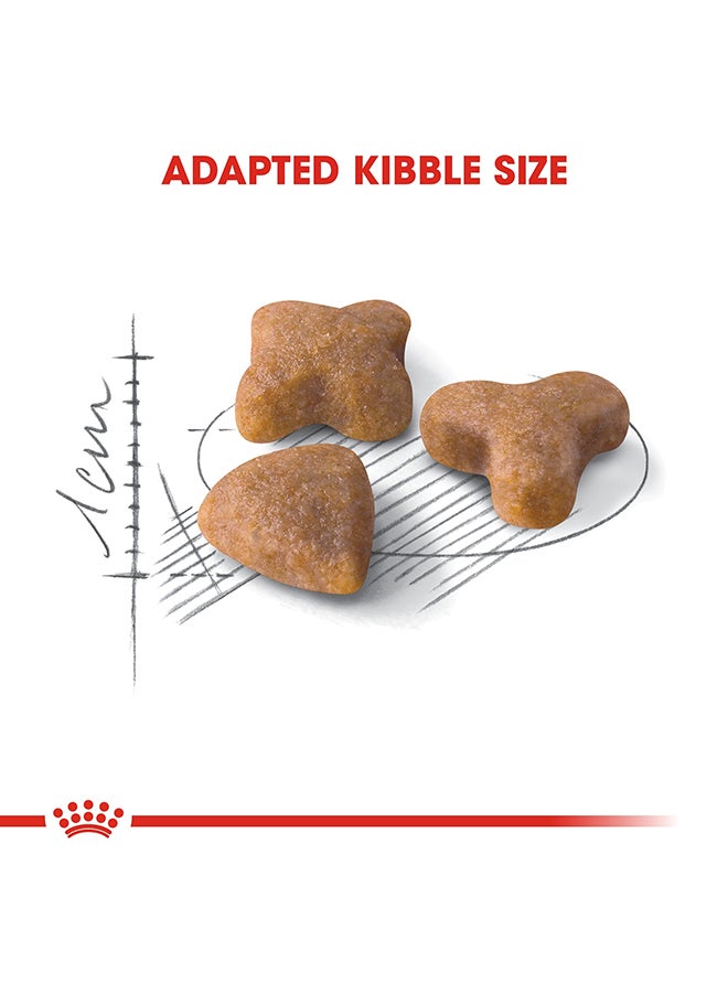 ROYAL CANIN - Regular Sensible 33 Cat Food 2kg - Image 1