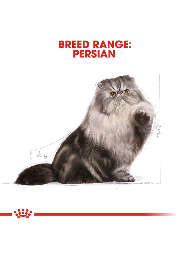 ROYAL CANIN - Feline Breed Nutrition Persian Adult 2kg - Image 1