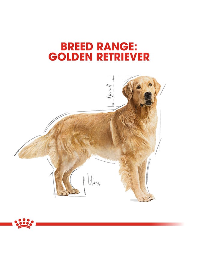 ROYAL CANIN Breed Health Nutrition Golden Retriever Adult 12kg