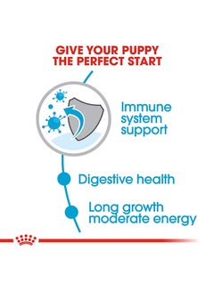 ROYAL CANIN Size Health Nutrition Maxi Puppy 1kg  - Image 4