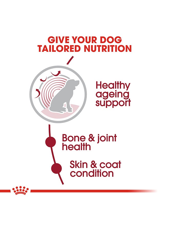 رويال كانين طعام صحي للكلاب متوسطة الحجم من عمر 10 أشهر فأكثر 3كيلوجرام - Image 4