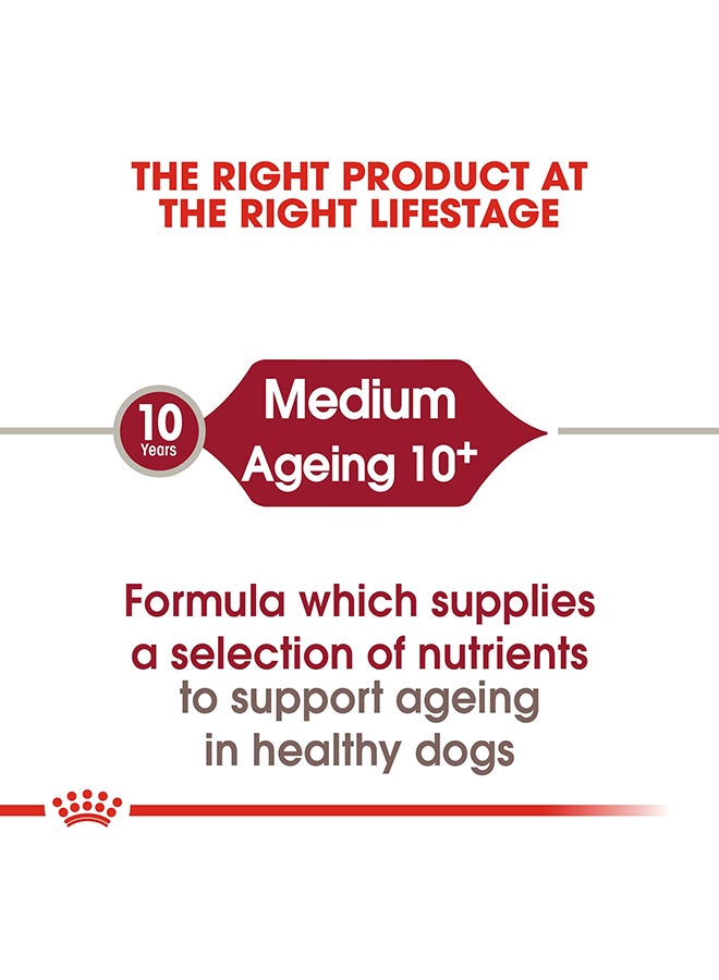 رويال كانين طعام صحي للكلاب متوسطة الحجم من عمر 10 أشهر فأكثر 3كيلوجرام - Image 5