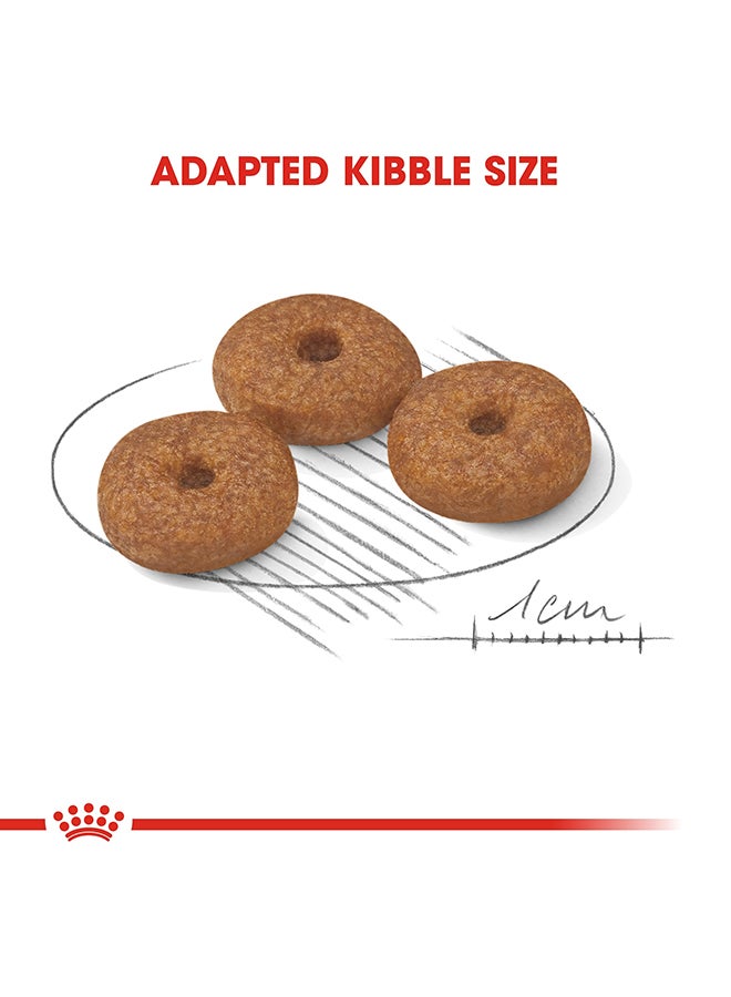 رويال كانين طعام صحي للكلاب صغيرة الحجم من عمر 12 شهراً فأكثر 1.5كيلوجرام - Image 3