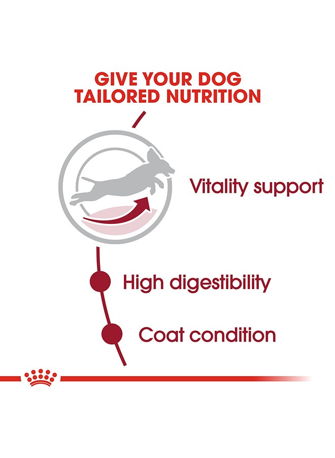 رويال كانين طعام للكلاب البالغة متوسطة الحجم 7+ من مجموعة سايز هيلث نيوتريشن 10كيلوجرام - Image 4