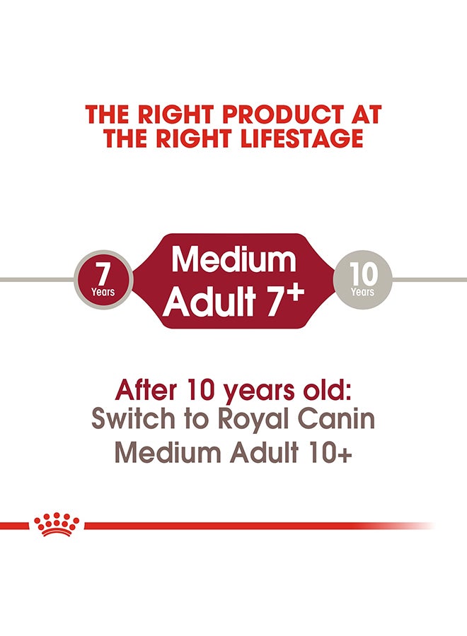 رويال كانين طعام للكلاب البالغة متوسطة الحجم 7+ من مجموعة سايز هيلث نيوتريشن 10كيلوجرام - Image 5