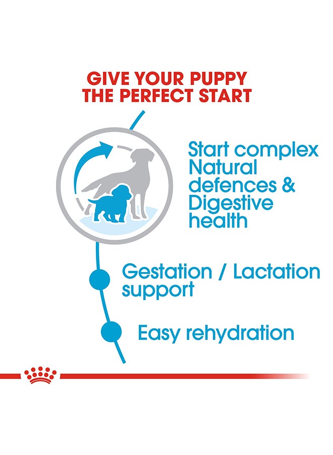 رويال كانين غذاء صحي ستارتر للجراء متوسطة الحجم 4كيلوجرام - Image 4