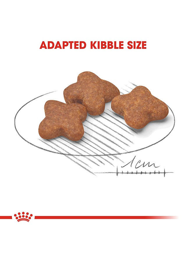 ROYAL CANIN Size Health Nutrition Mini Adult 8+ 2kg  - Image 3