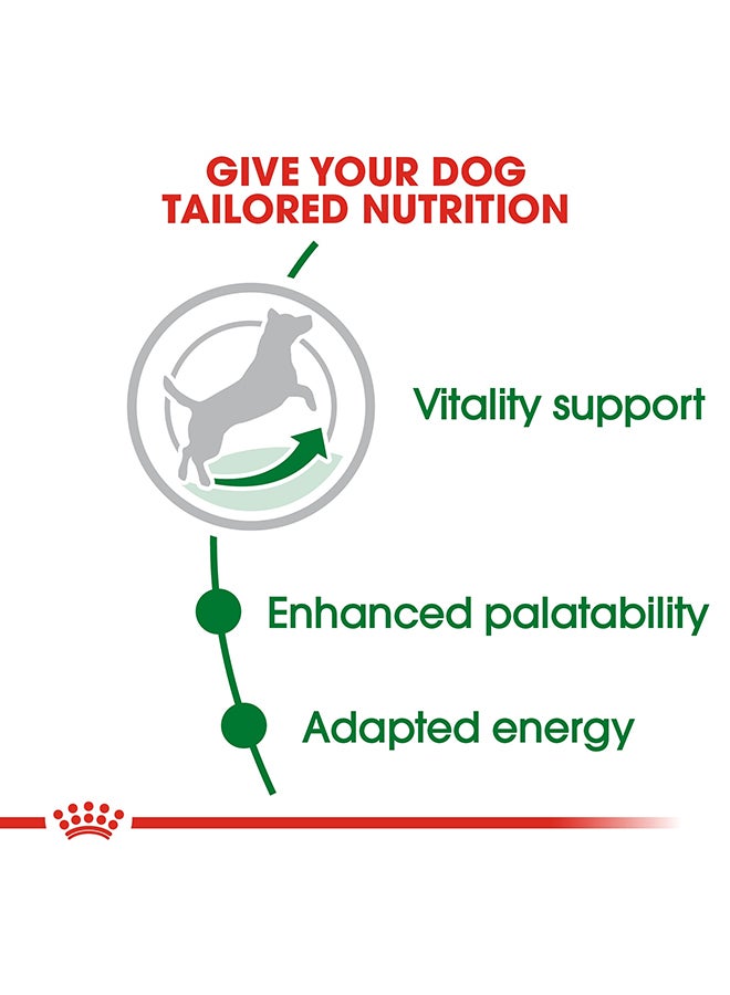 ROYAL CANIN Size Health Nutrition Mini Adult 8+ 2kg  - Image 4