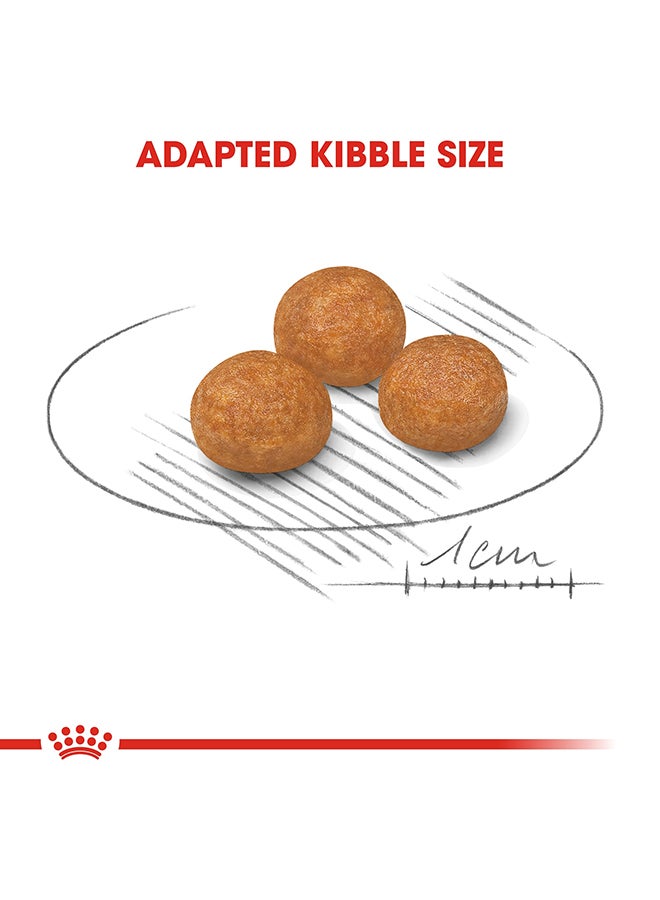 رويال كانين غذاء صحي للكلاب الصغيرة والبالغة متعدد الألوان 1.5كيلوجرام - Image 3