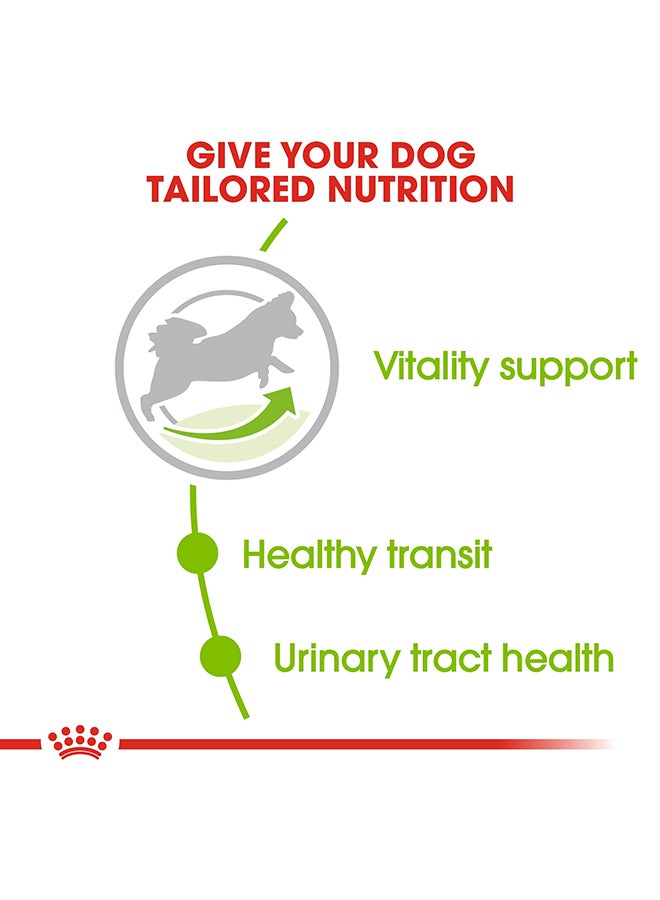 رويال كانين طعام صحي لقطط Xs البالغة من عمر 8 أشهر فأكثر 1.5كيلوجرام - Image 4