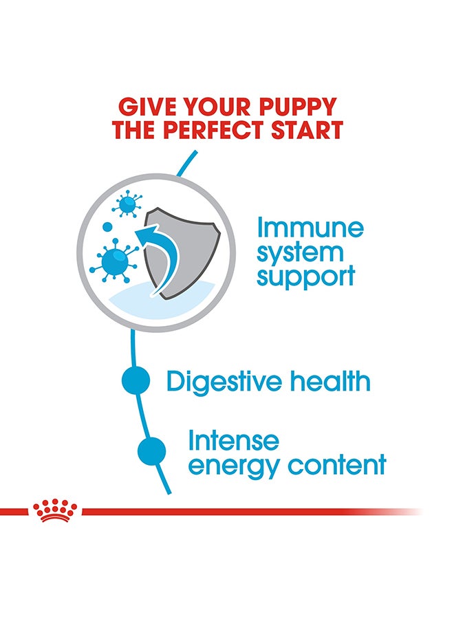 ROYAL CANIN Size Health Nutrition Mini Puppy Brown 800grams  - Image 4