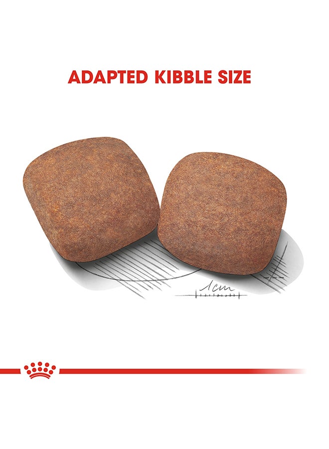 رويال كانين غذاء صحي بحجم كبير للكلاب البالغة 15كيلوجرام - Image 3