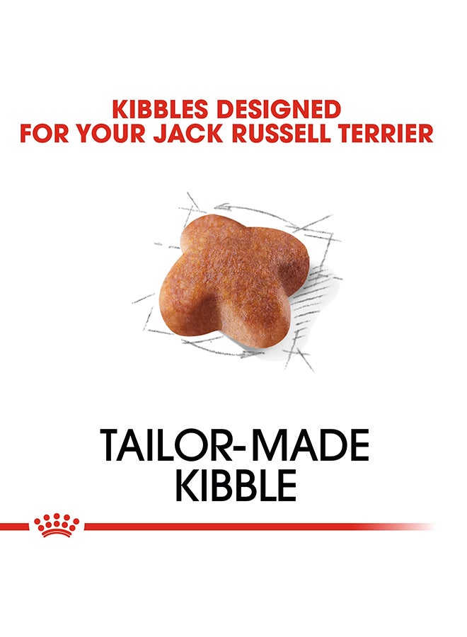 رويال كانين غذاء صحي للكلاب الكبيرة من فصيلة جاك راسل 1.5كيلوجرام - Image 3