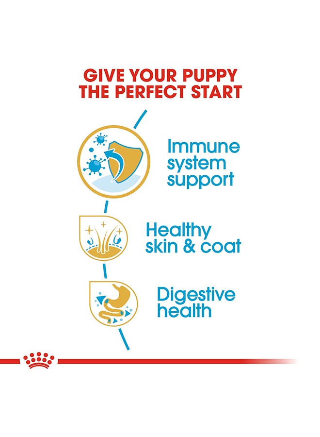رويال كانين غذاء صحي لسلالة جرو جولدن ريتريفر متعدد الألوان 12كيلوجرام - Image 4