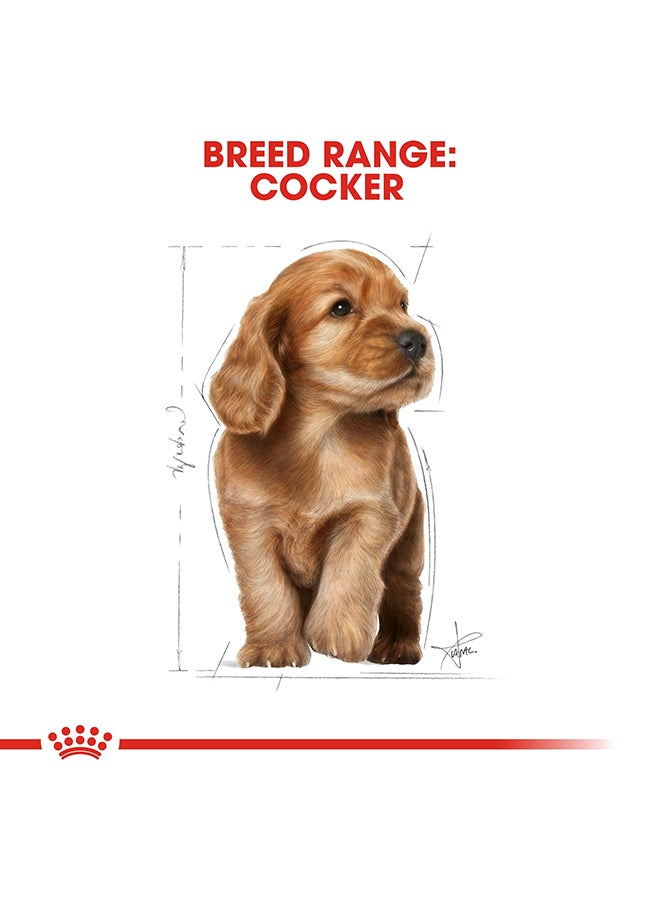 ROYAL CANIN Breed Health Nutrition Cocker Puppy 3kg  - Image 5