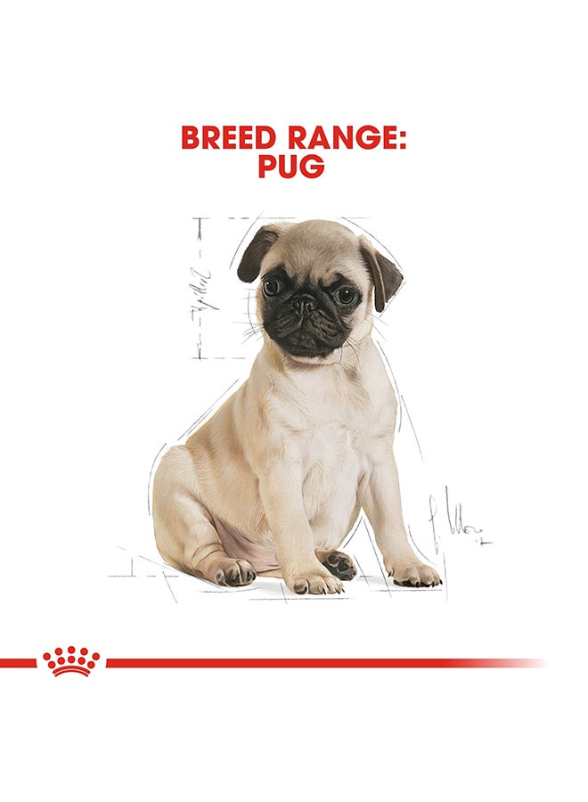 ROYAL CANIN Pug Puppy 1.5kg - Image 5