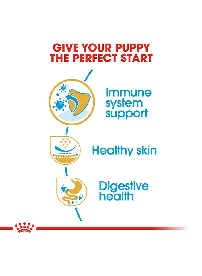 ROYAL CANIN Pug Puppy 1.5kg - Image 4