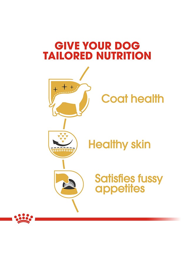 رويال كانين صحة السلالة والتغذية في ويست هايلاند - Image 4